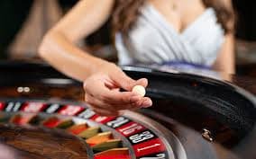 Number Pair payout table and odds display in idncash login